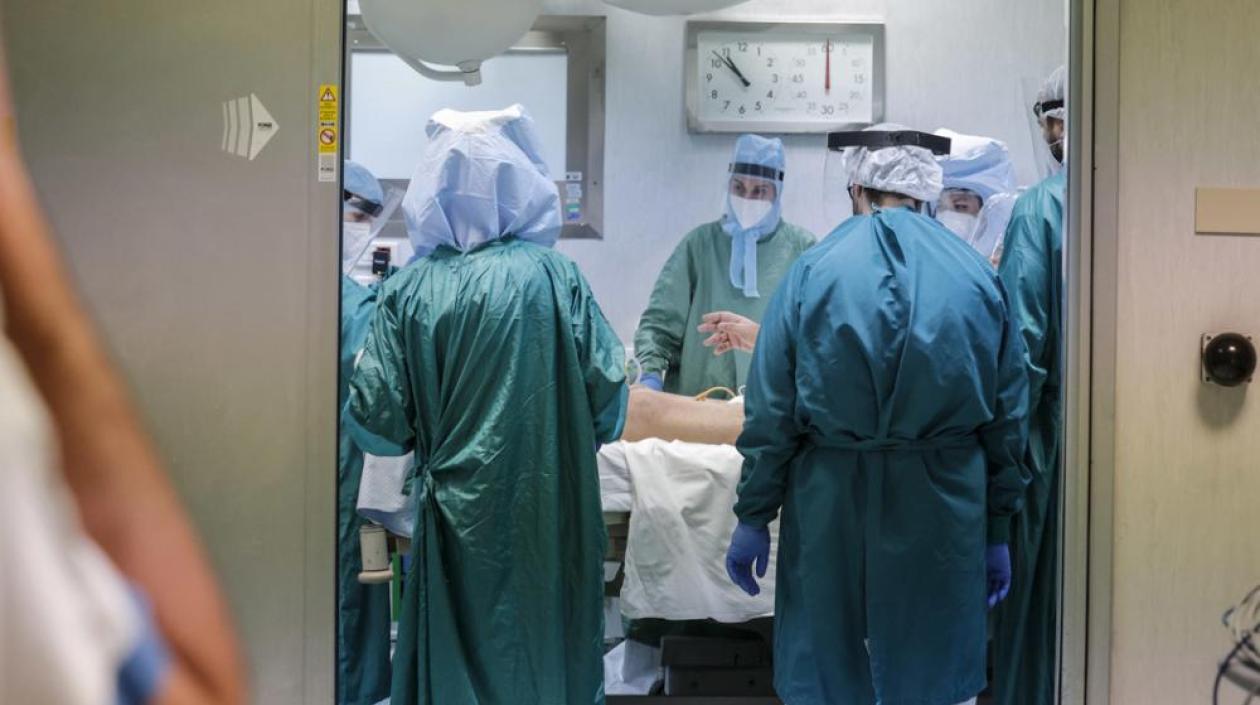 Imagen de referencia.