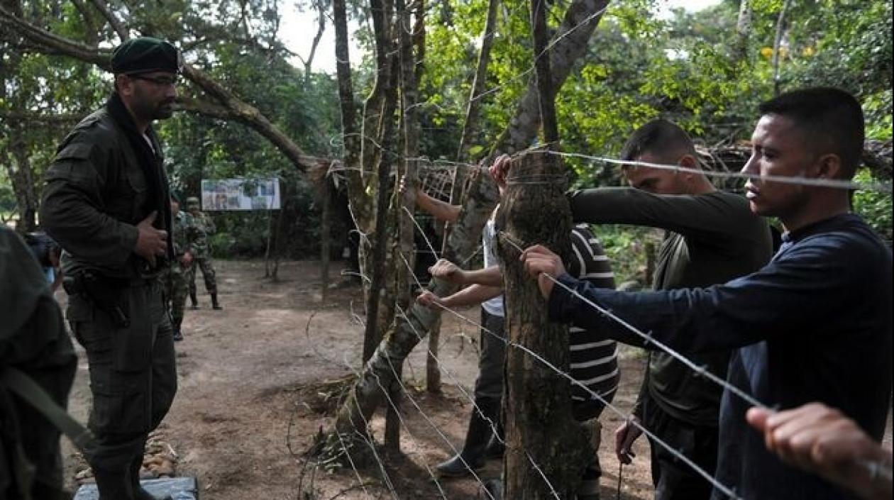 Imagen de referencia.