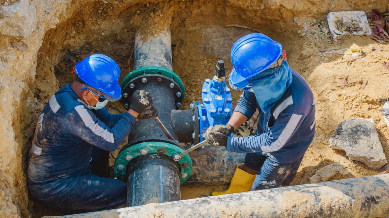 Imagen de referencia.