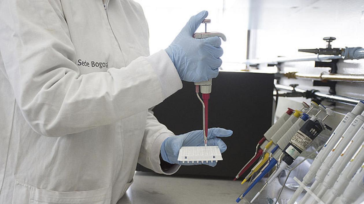 Imagen de referencia.