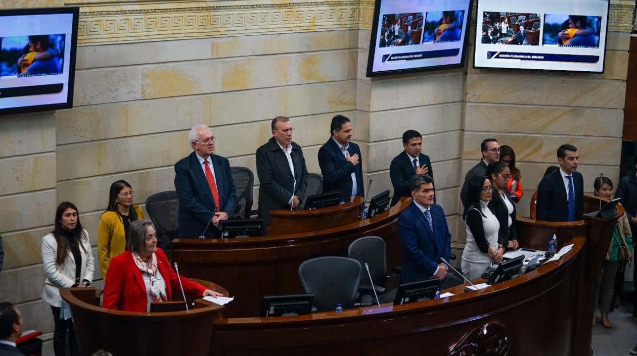 La plenaria de este miércoles en el Senado.