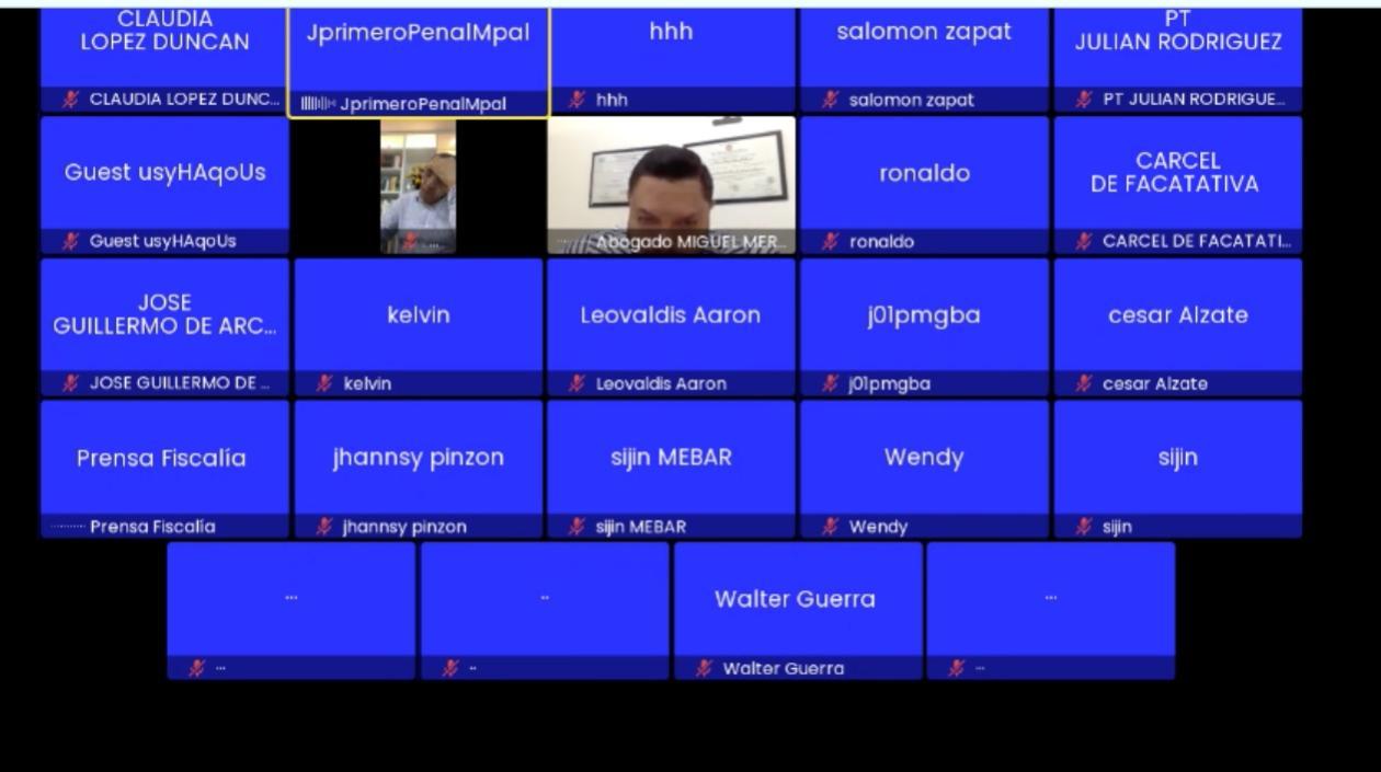 Aspecto de la audiencia virtual desarrollada en la tarde de este viernes. 