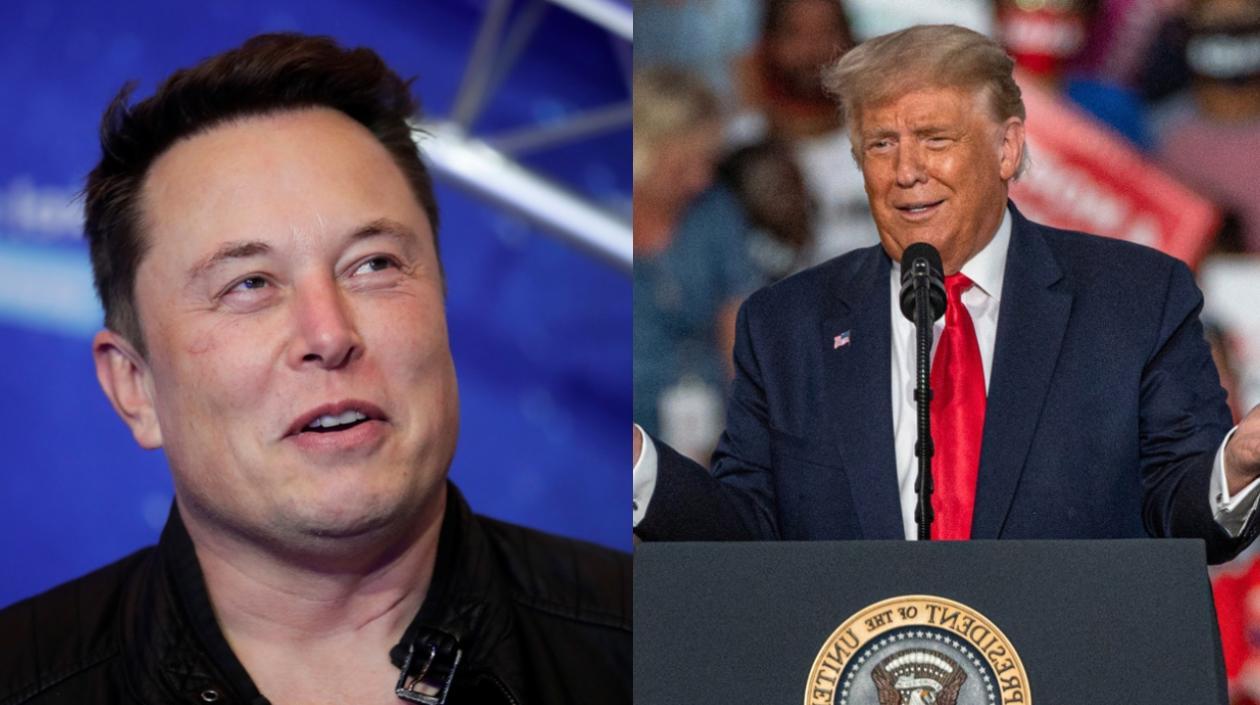 Elon Musk y Donald Trump.