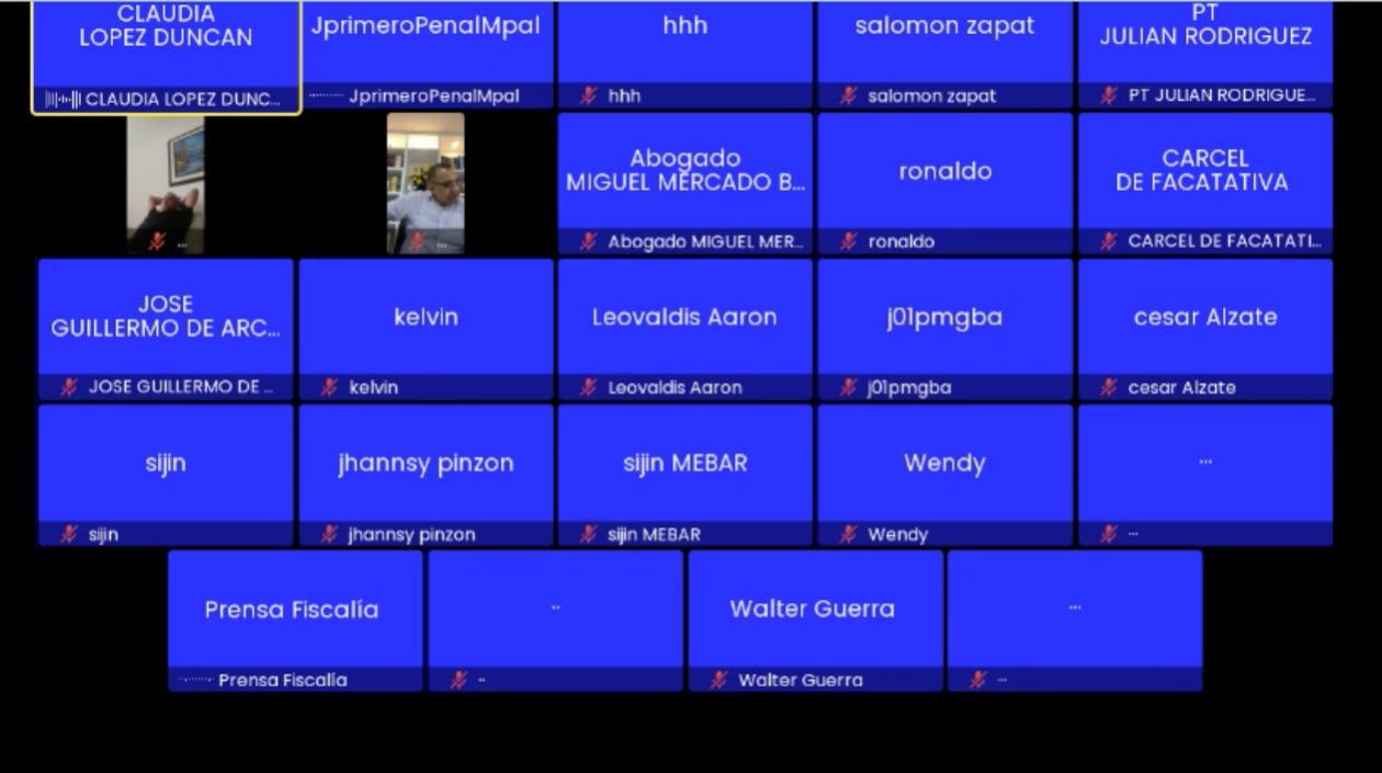 Aspecto de la audiencia virtual. 