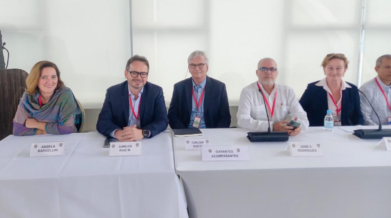 Carlos Ruiz Massieu, representante de del Secretario de la ONU en Colombia