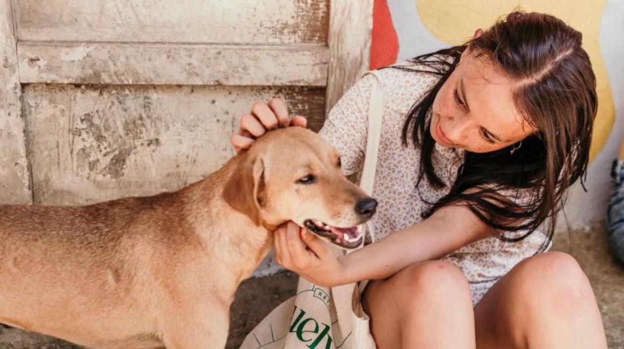 Imagen de referencia.