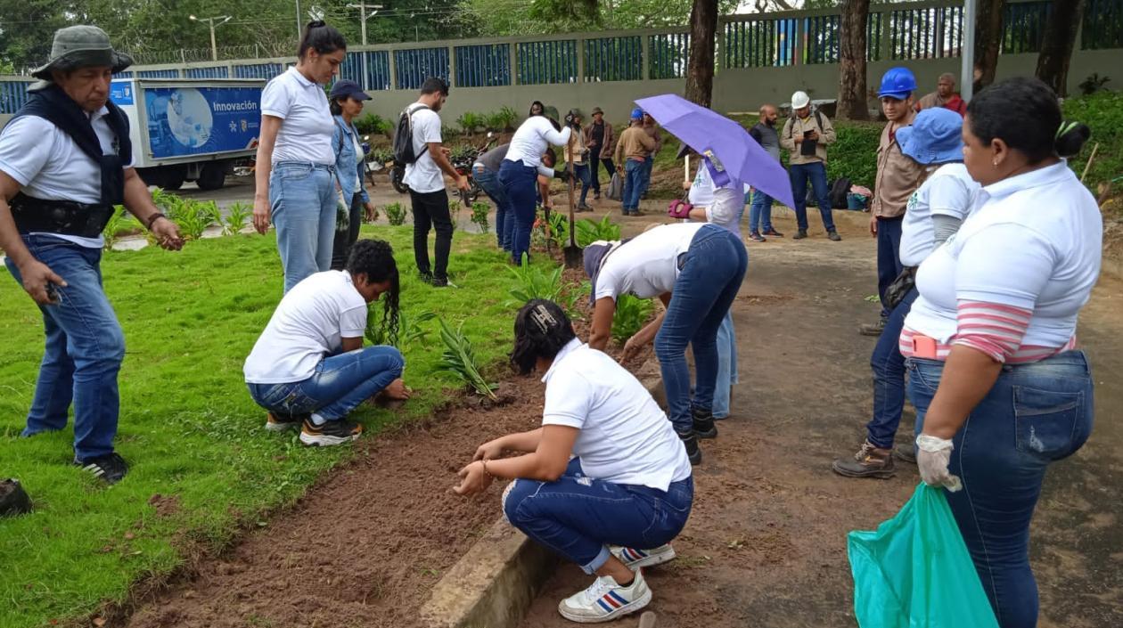 Imagen de las prácticas.