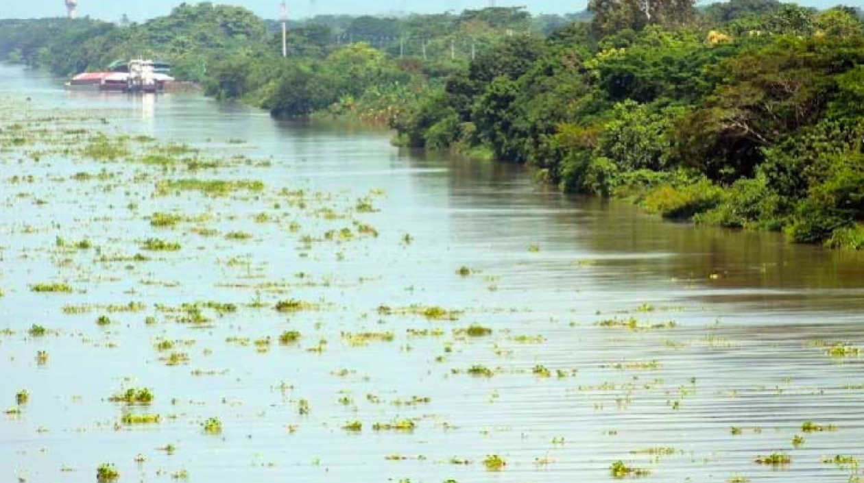 Imagen de referencia.