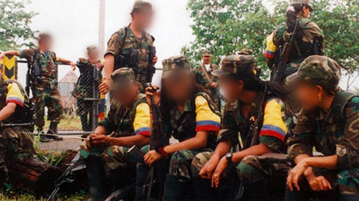 Imagen de referencia.