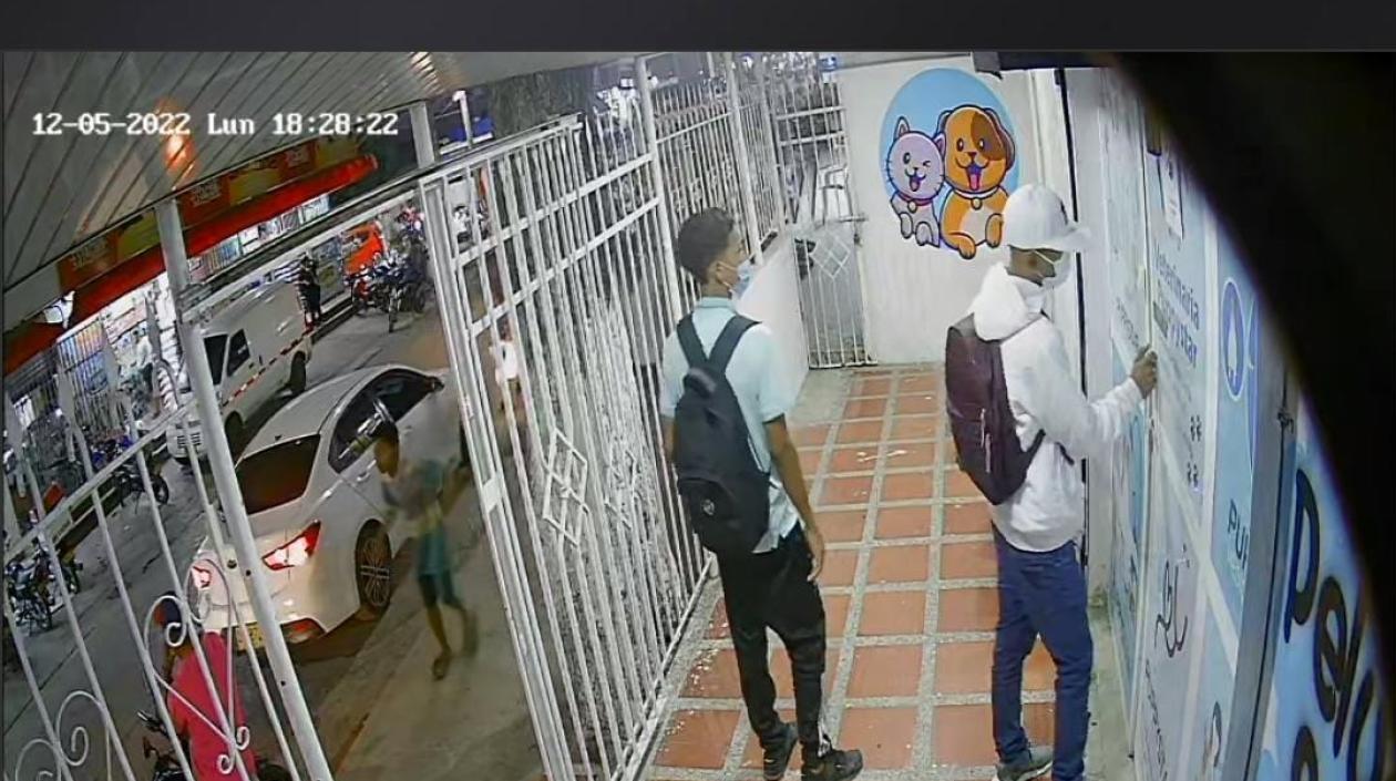 Ladrones asaltando la veterinaria.