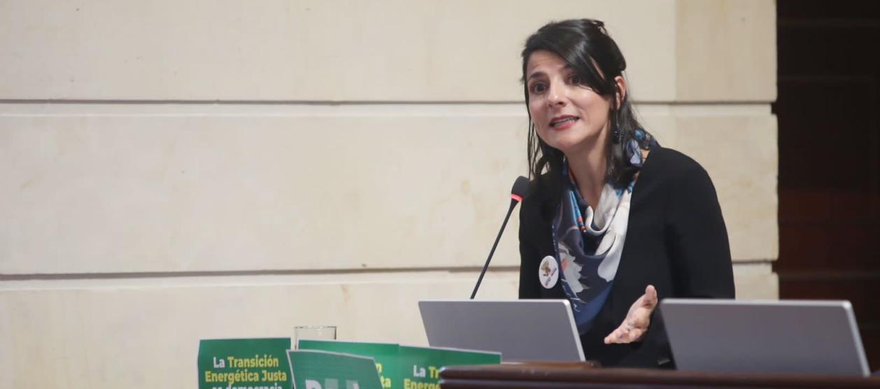 Ministra de Minas y Energía, Irene Vélez.