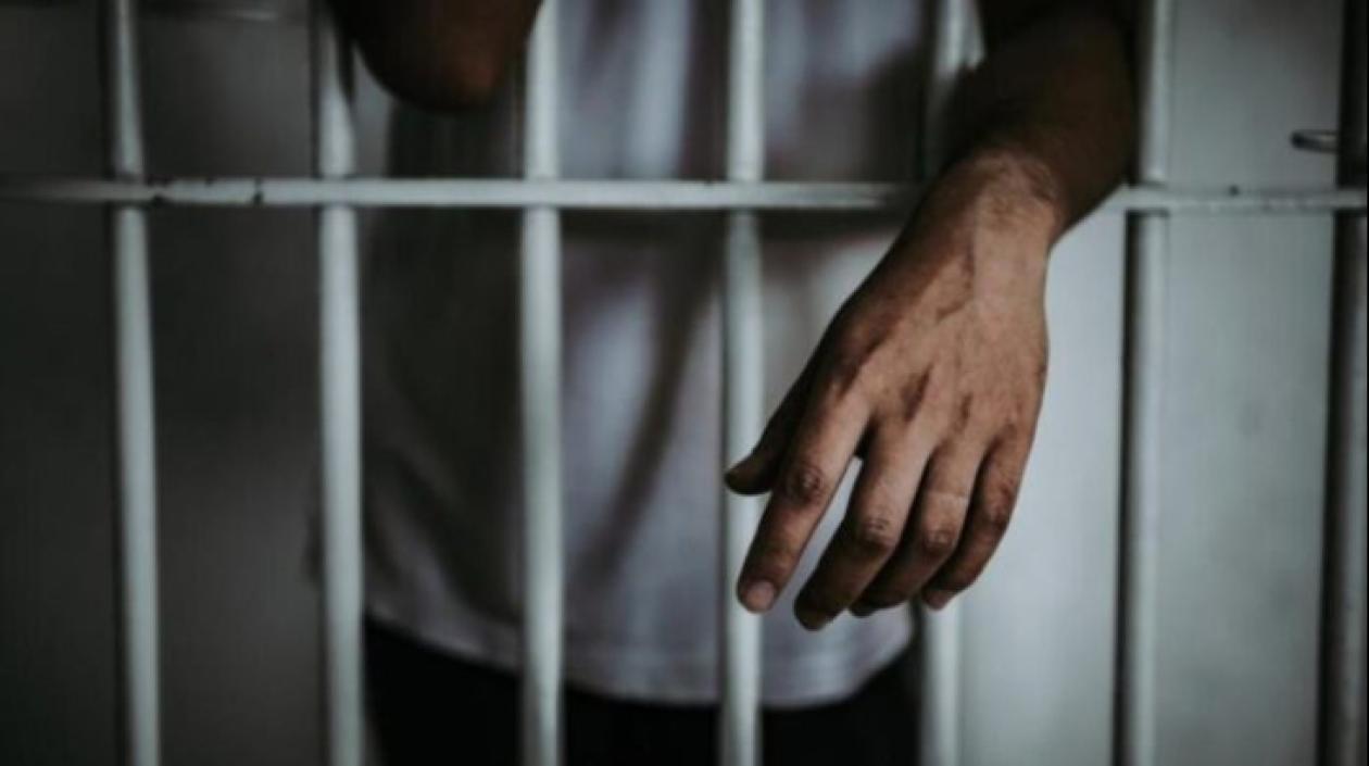 Imagen de referencia.