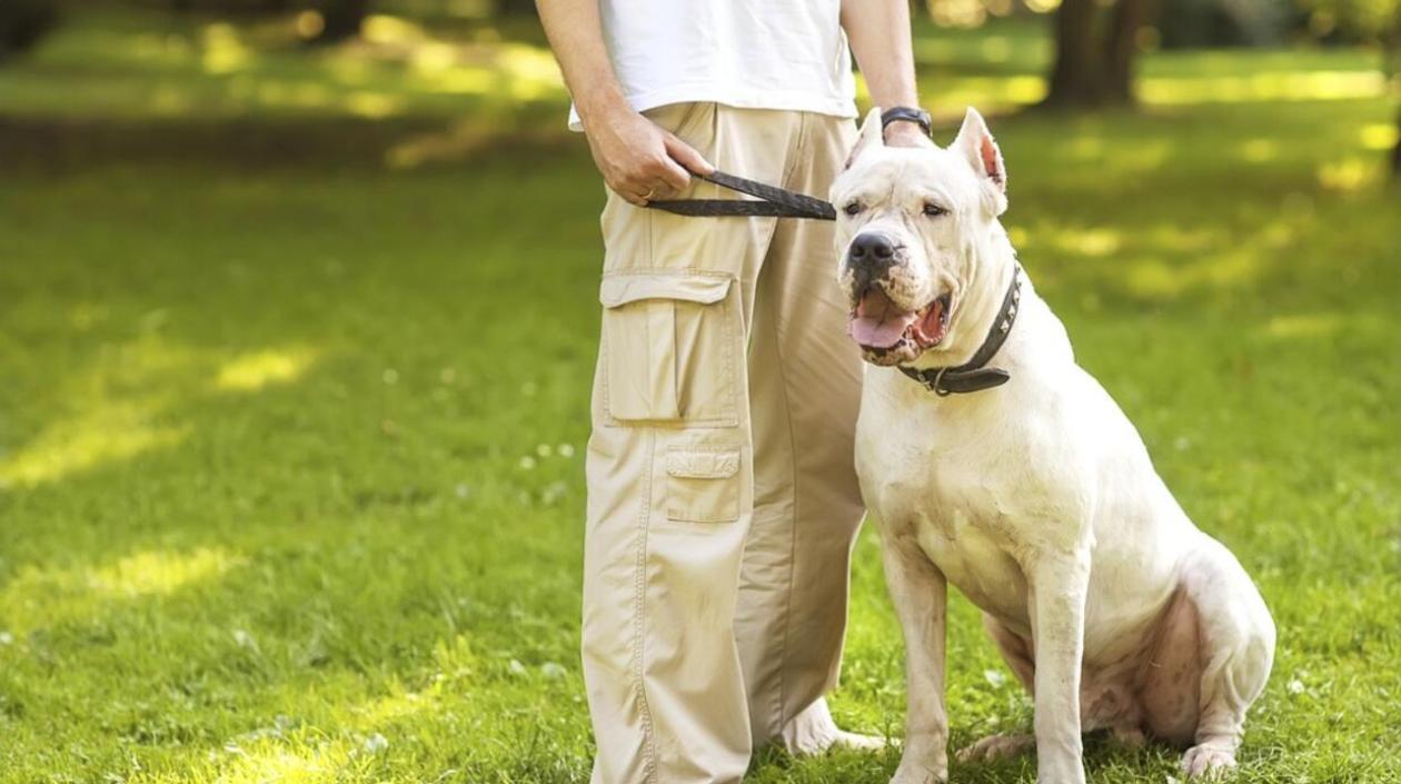 Imagen de referencia.