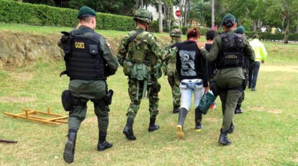 Imagen de referencia.