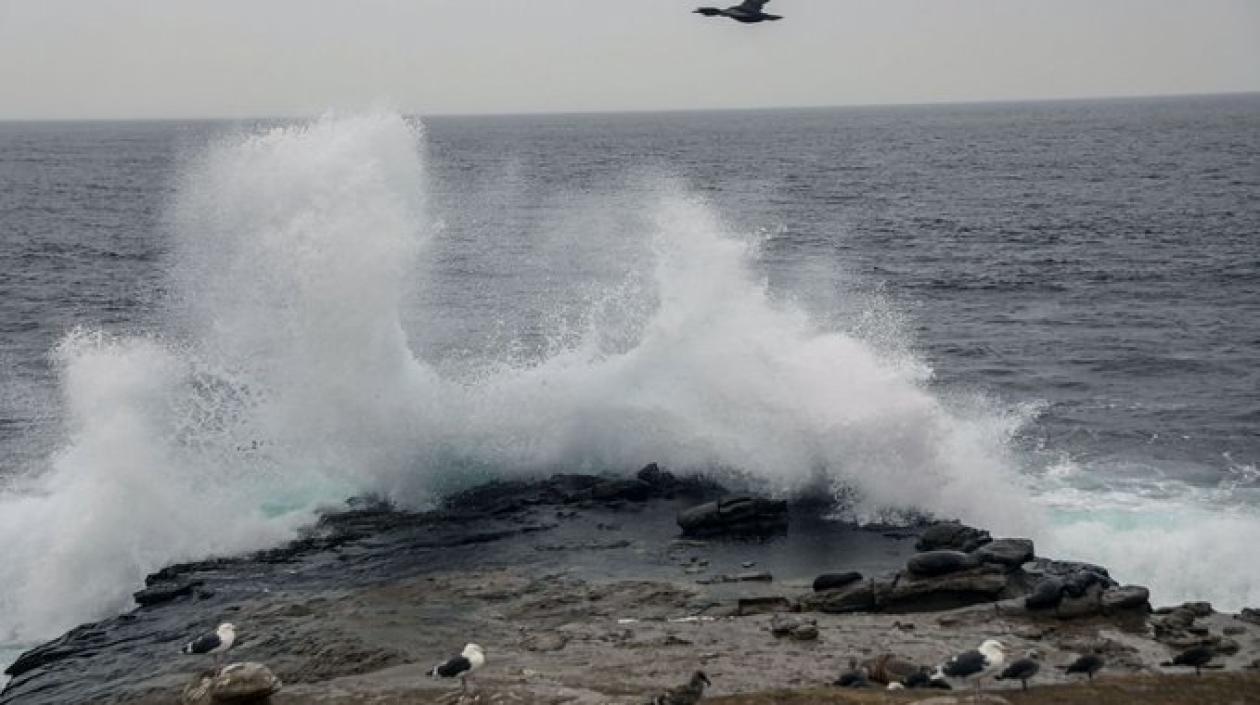 Imagen de referencia.