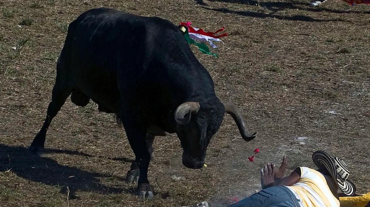 Imagen de referencia.