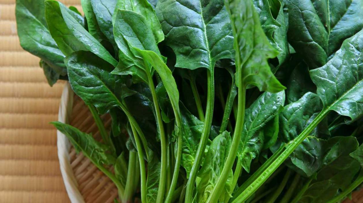 Imagen de referencia.