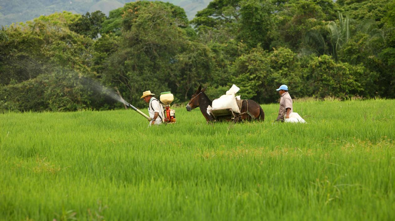 Foto referencia sobre fumigación.