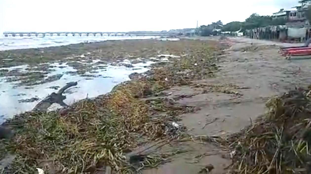 Los residuos sólidos se han convertido en un grave problema de contaminación ambiental en Puerto Colombia.