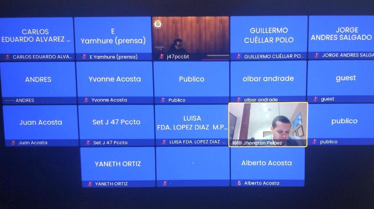 Imagen de la audiencia virtual.
