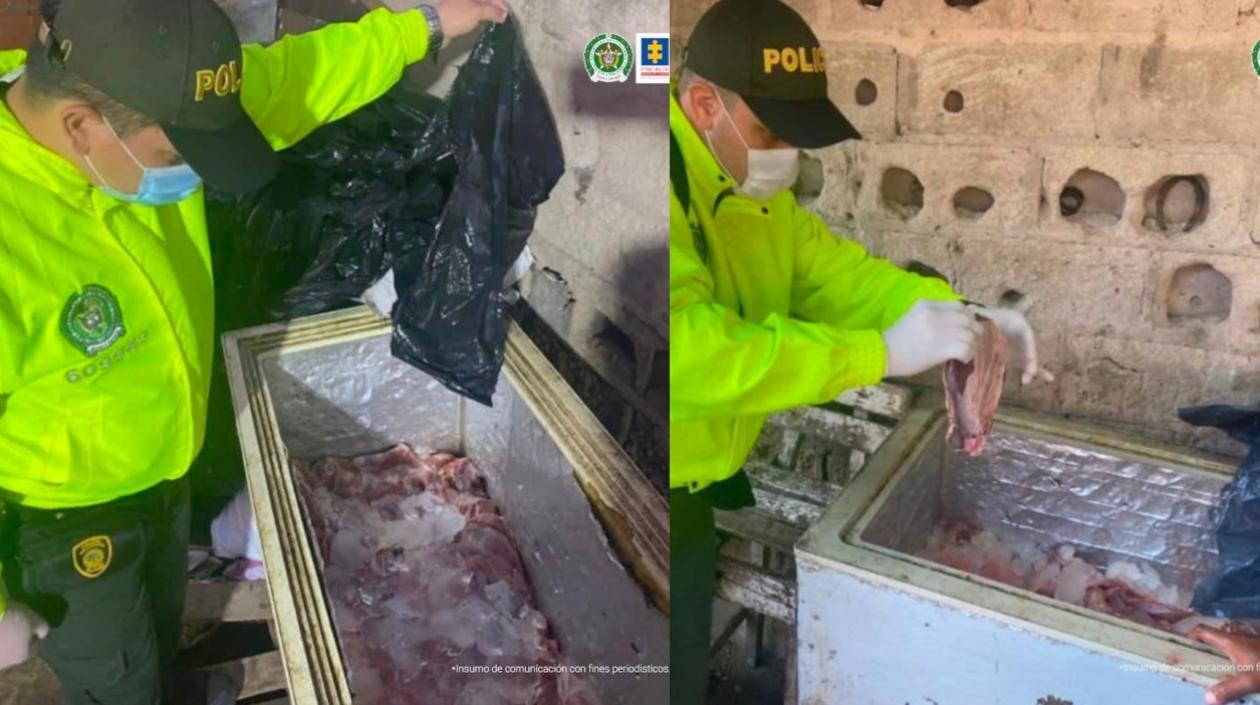 Carne de caballo decomisada por la Policía durante el allanamiento. 