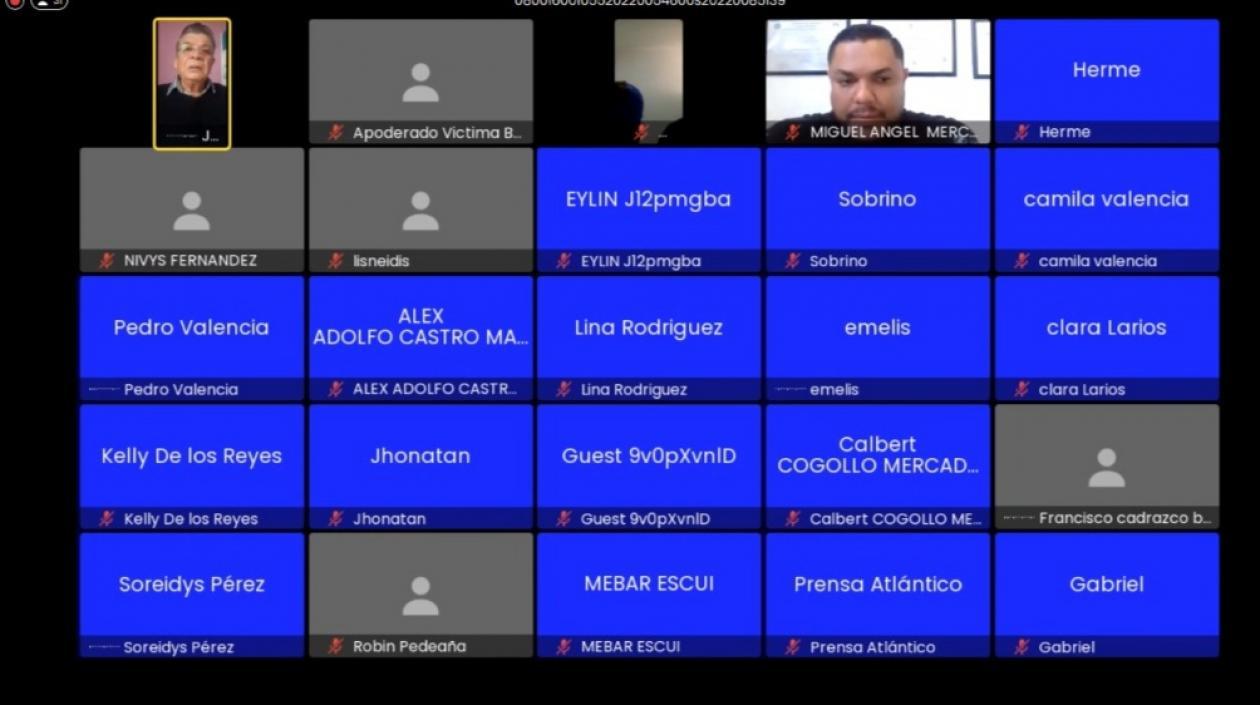 Imagen de la audiencia virtual.