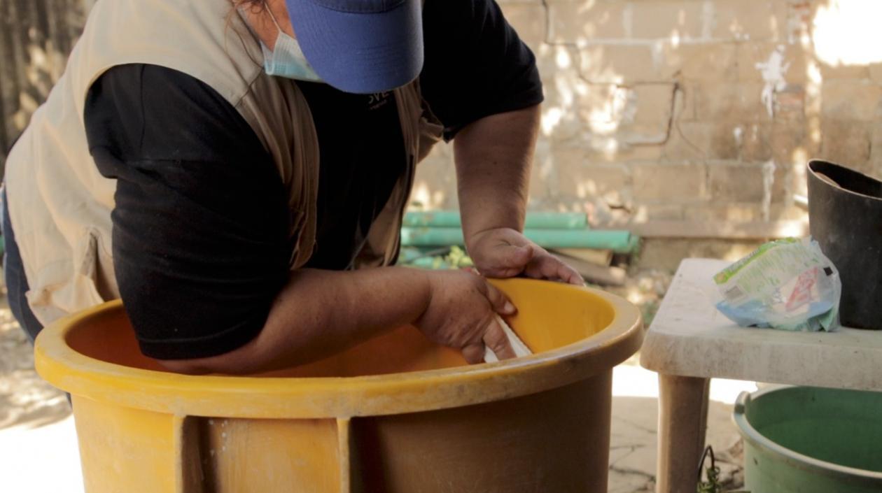 Jornadas contra el dengue.