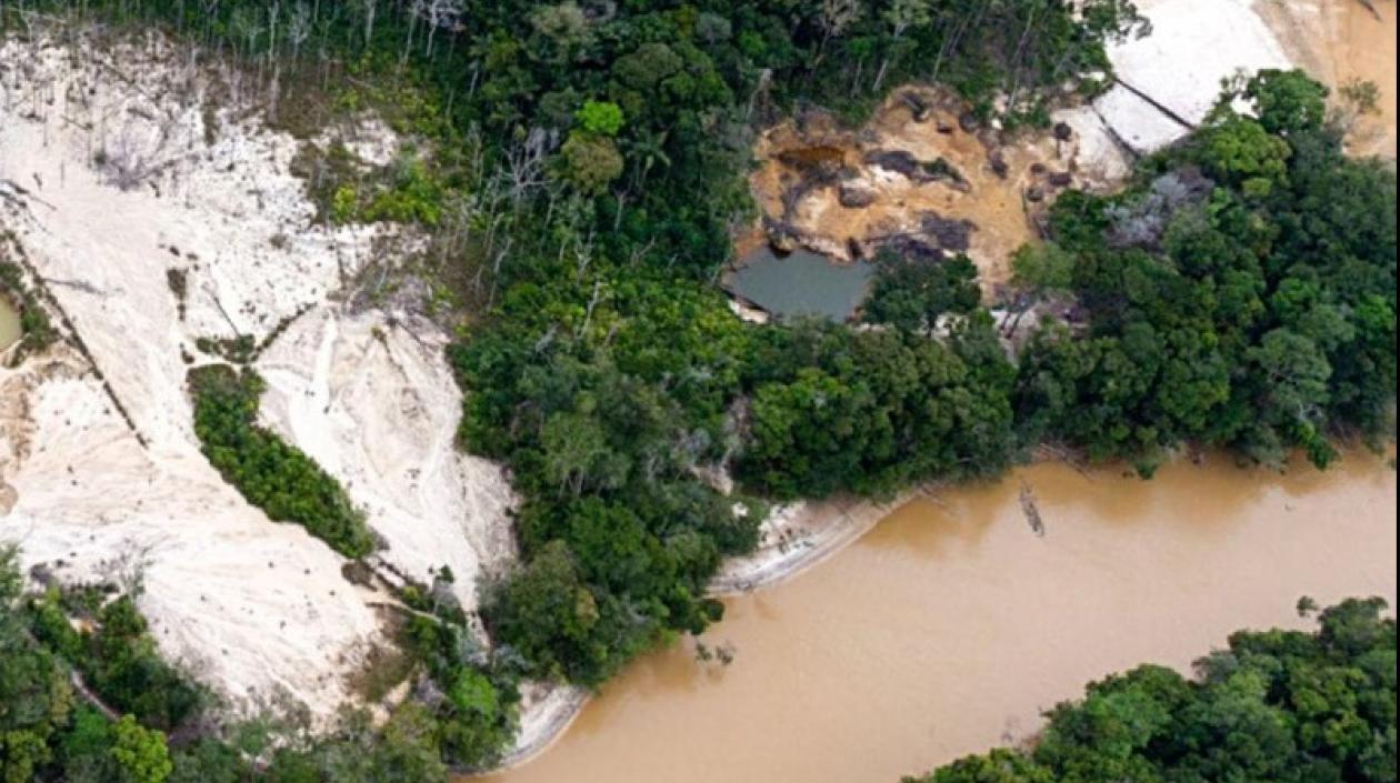 Hay un grave impacto económico por la minería ilegal.