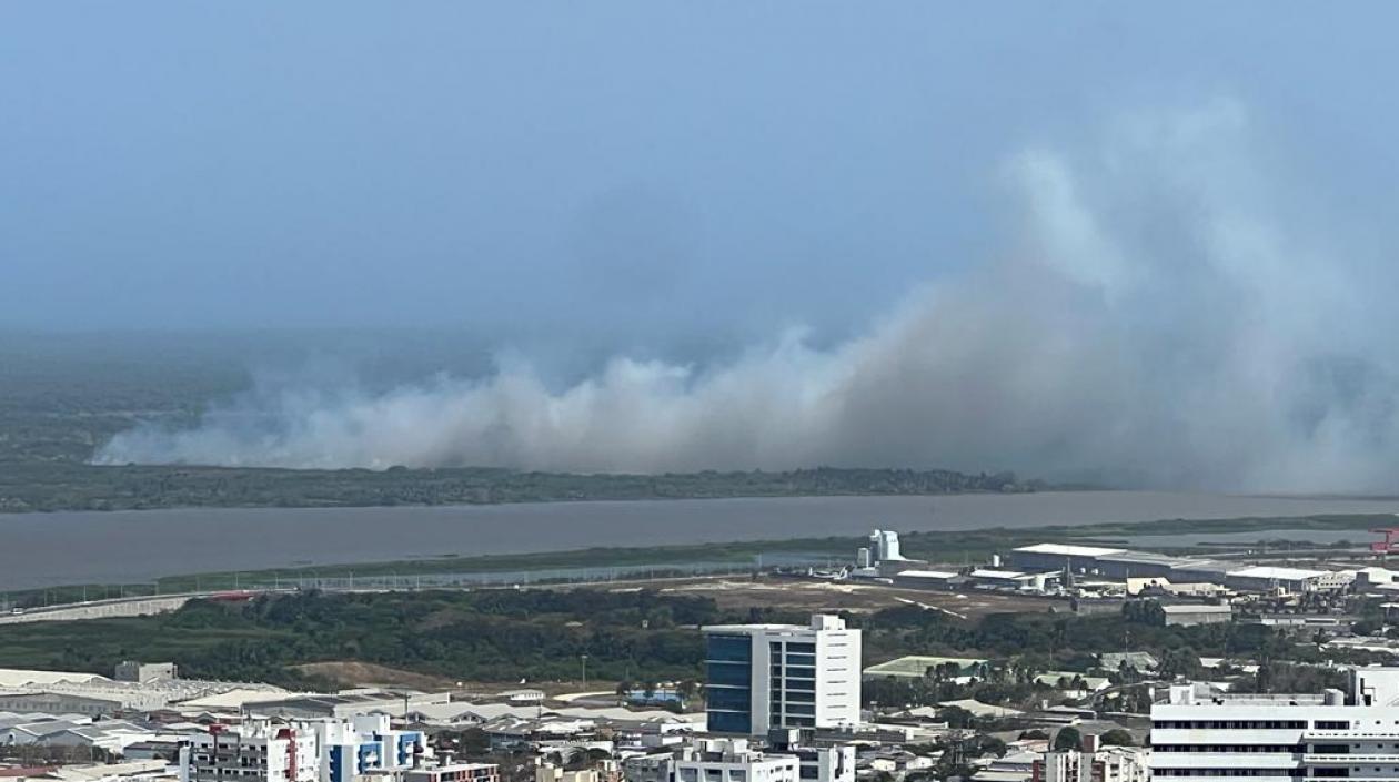 Quemas en el parque Isla Salamanca.
