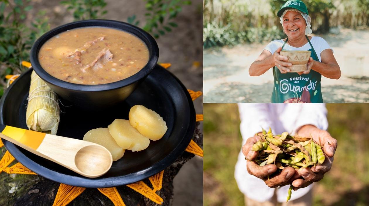 Imágenes referenciales.