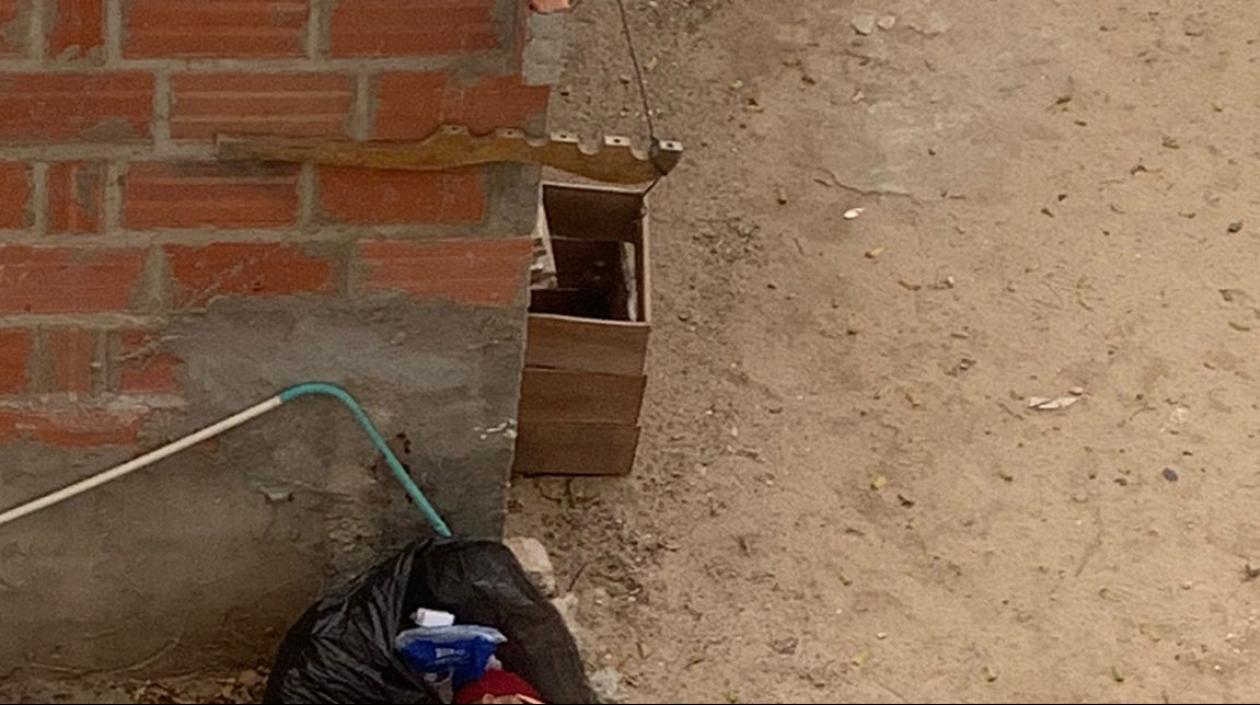 Lugar de homicidio en el barrio san salvador.