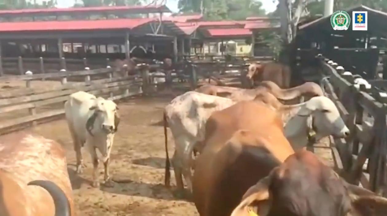 Una de las fincas ocupadas por la Fiscalía y la Policía.