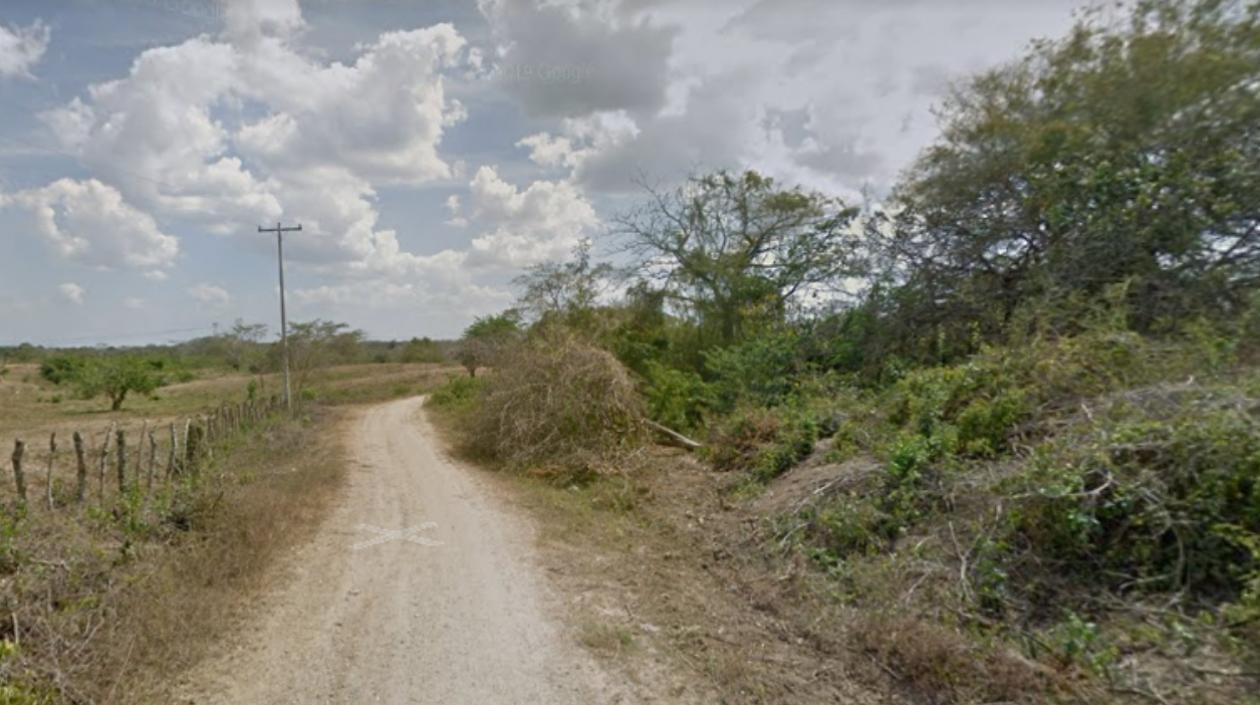 Una trocha en el municipio de Sabanalarga. 