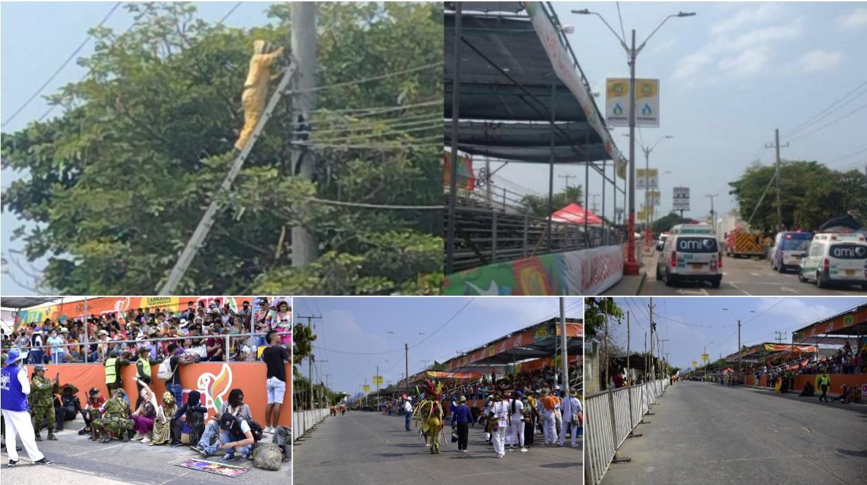 Bomberos controlan las abejas, que frenaron la Gran Parada de la Vía 40.