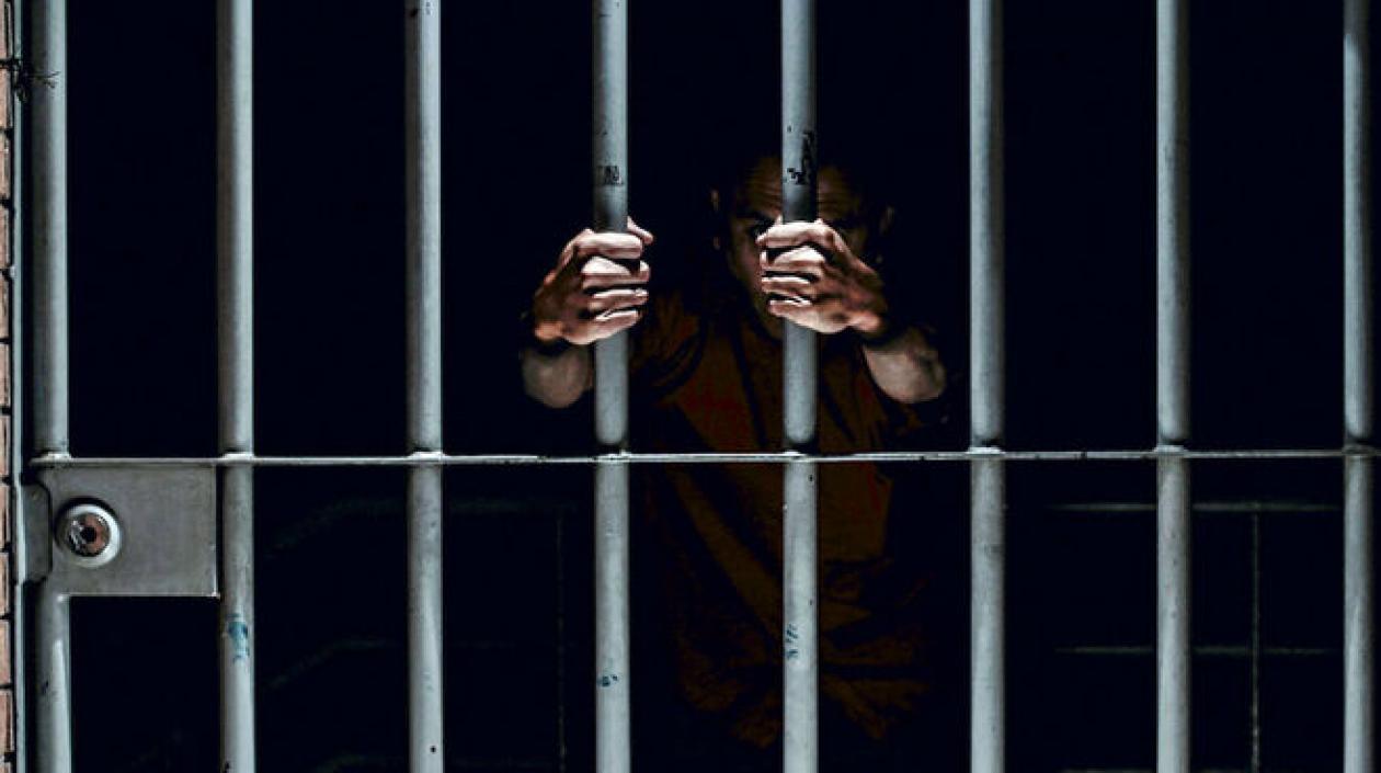 Imagen de referencia.