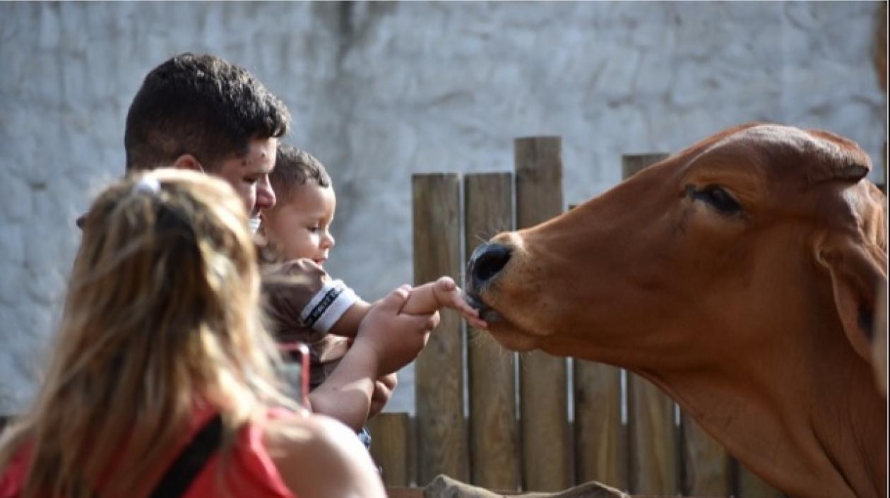 Visitantes disfrutan de los animales del Zoológico.
