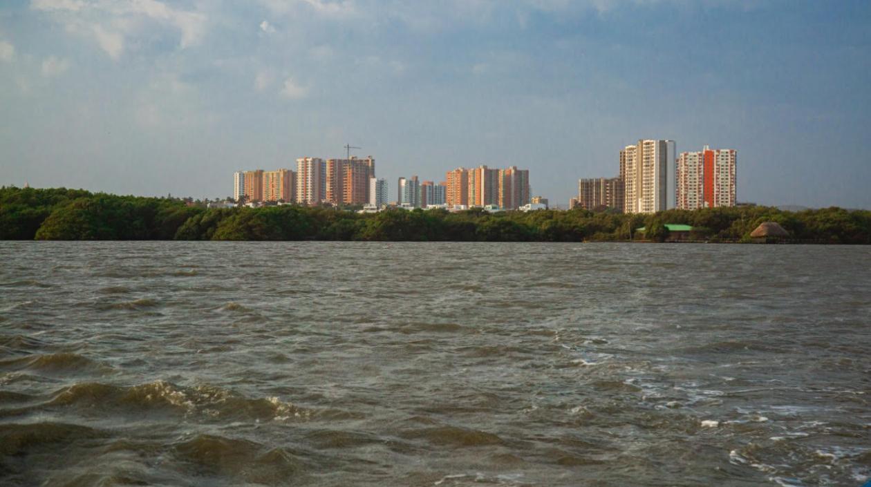 Ciénaga de Mallorquín.