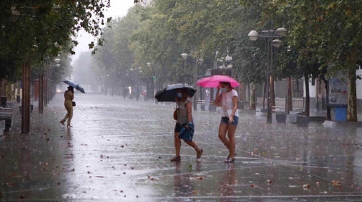 Imagen de referencia.