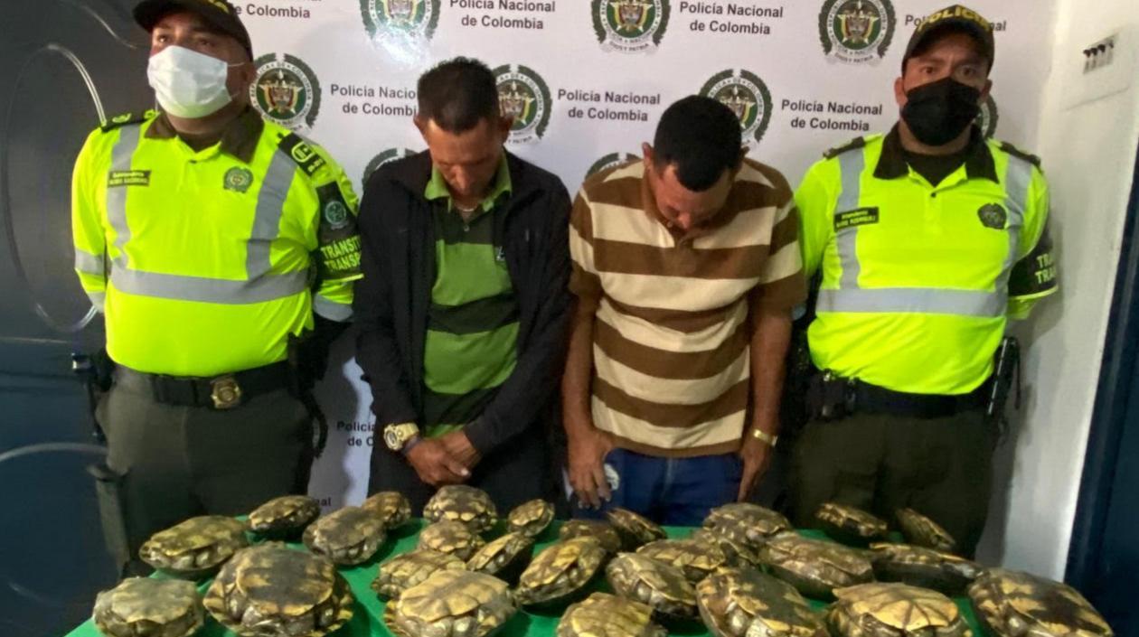 Capturados con hicoteas