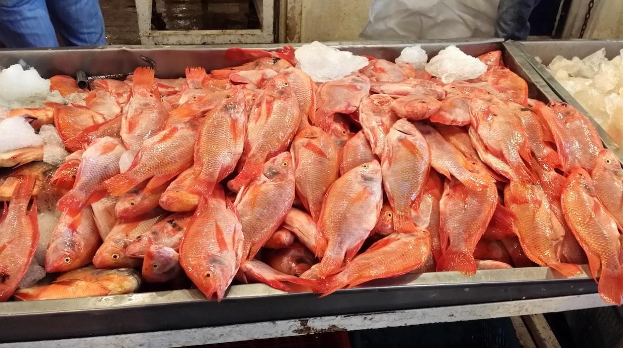 La apetecida tilapia, una de las de mayor consumo en la Semana Santa.