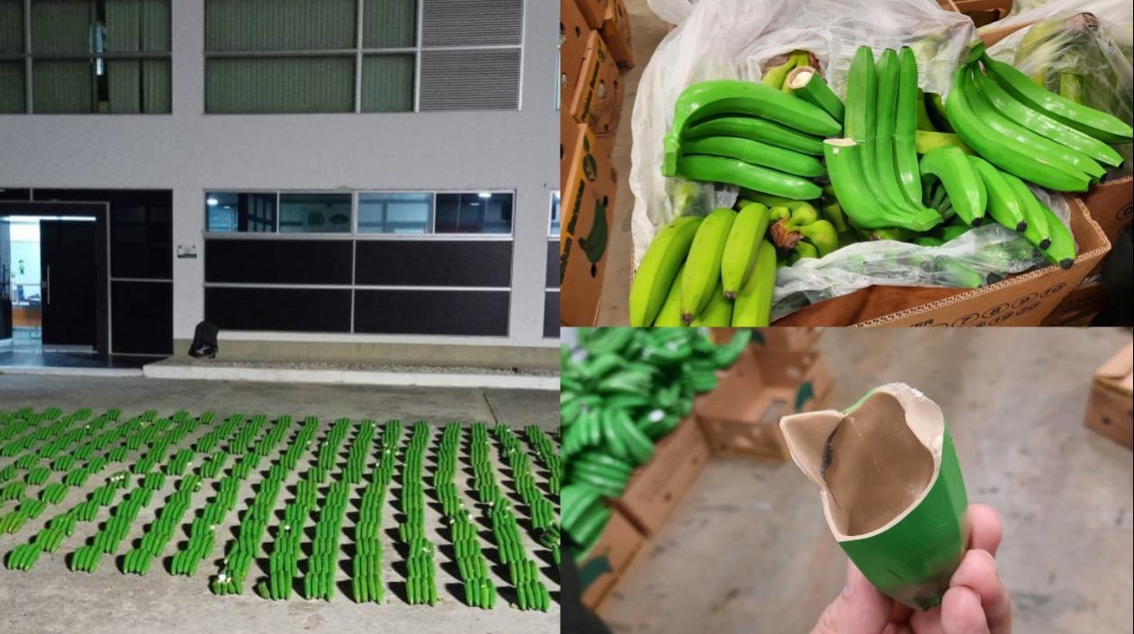 El cargamento de platanos. 