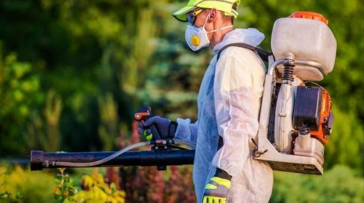 Imagen de referencia.