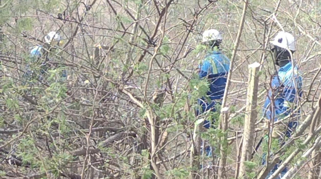 Técnicos de Air-e trabajan en el área rural de Piojó para restaurar el servicio. 