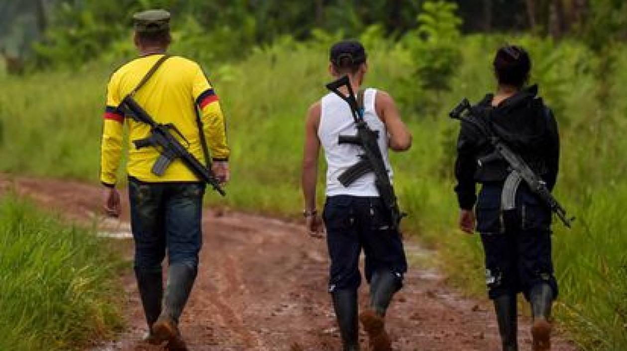 Imagen de referencia.