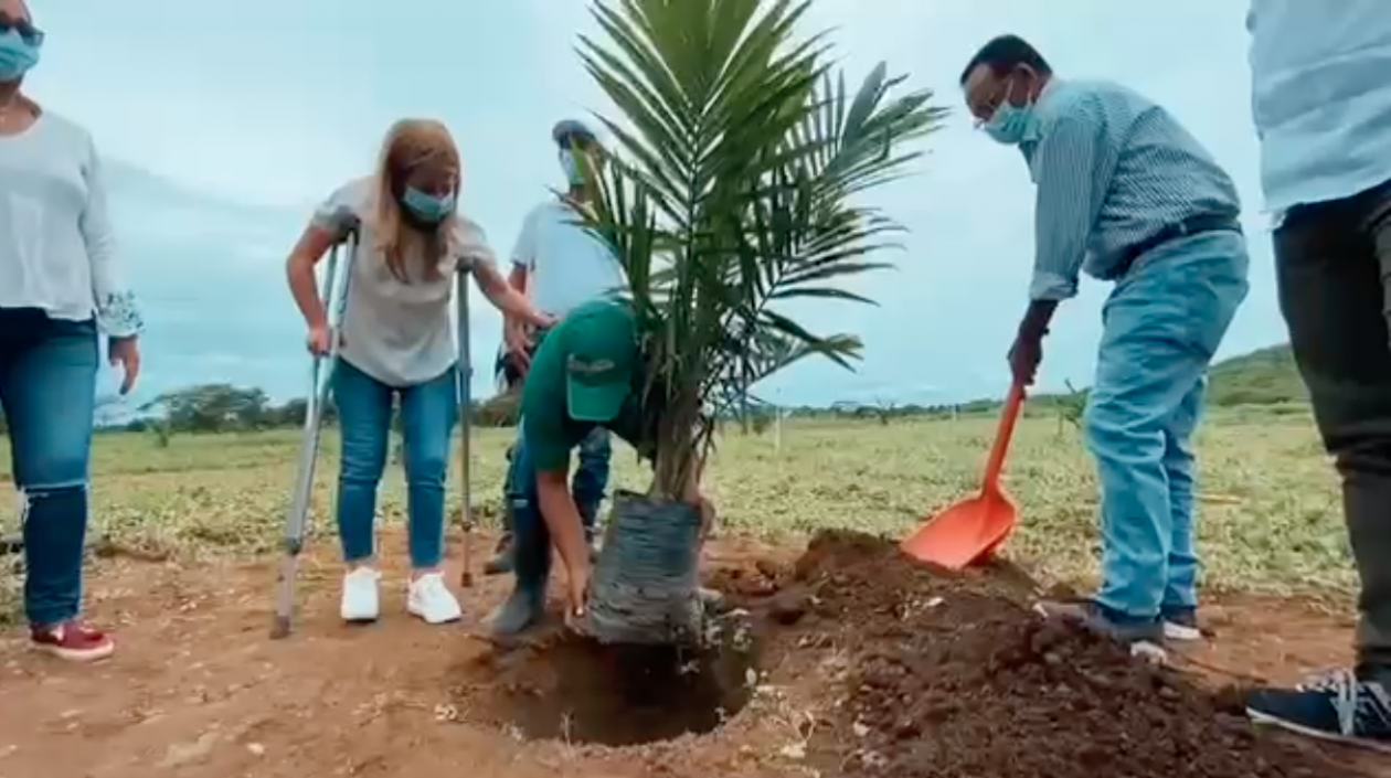 La Gobernadora del Atlántico, Elsa Noguera.