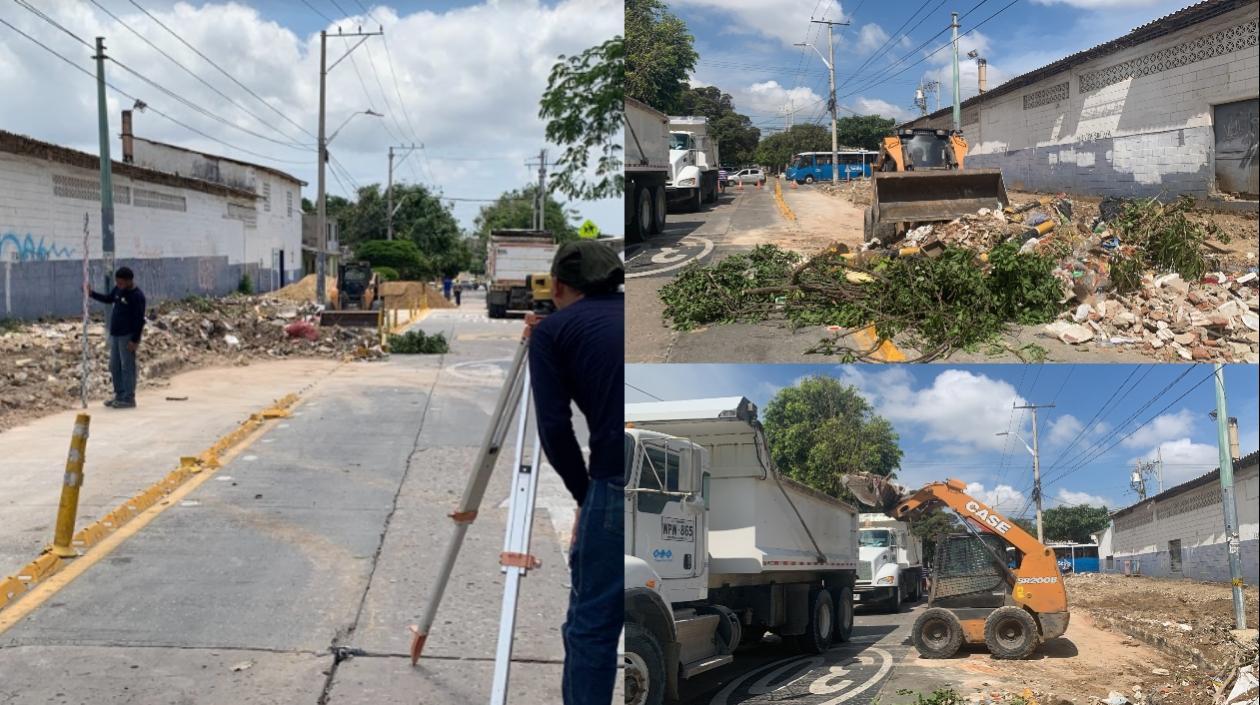 Imágenes de la jornada de limpieza.