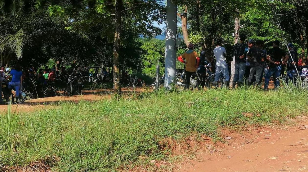 Cultivadores de coca obstruyeron labor del Ejército.