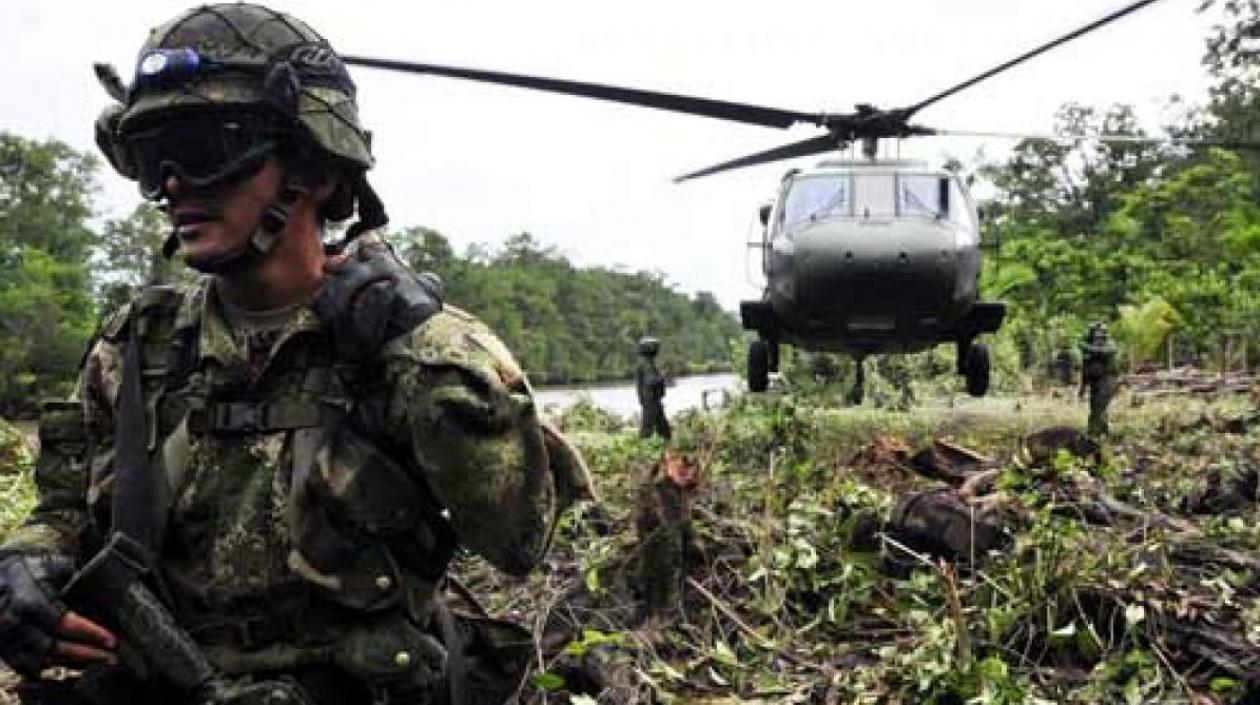 Imagen de referencia.