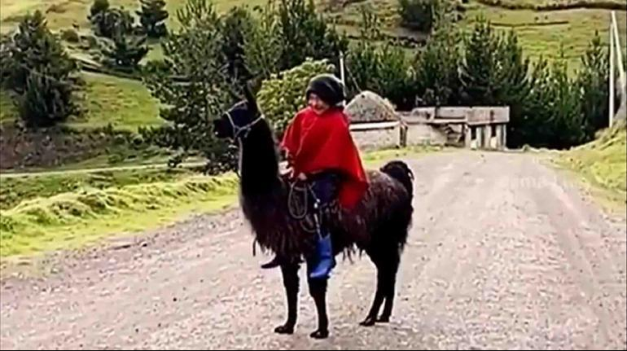 Jhoel montado sobre 'Benjamín'.  