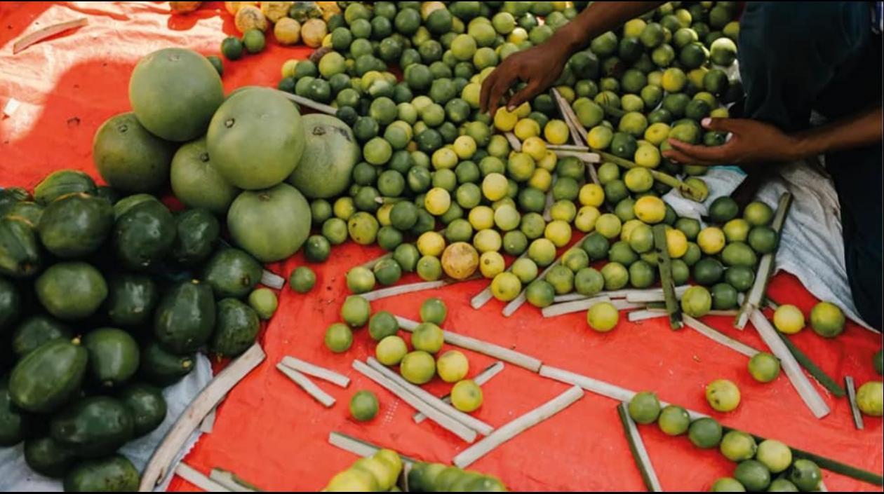 El hambre y la desnutrición hacen que las personas "sean menos inteligentes y menos productivas".